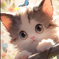 Furball (cat system)