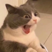 แอดแอ๊ด