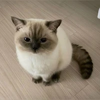 @storm_Aum