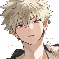 Katsuki bakugo (D.D)