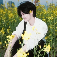 ลลิน N