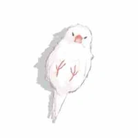 เรนะ (นกซื่อสารนอ.)