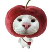 แอดเองง