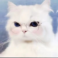 โมจิ (แมวของนอ.)