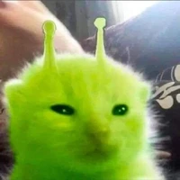 Alien. 👽