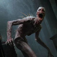 zumbi