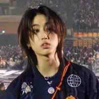 Han Jisung ( hannie)