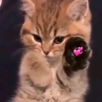 เเอดทึ
