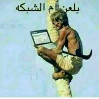 لوف لوف