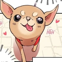 bam
