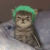 Eu/Autora