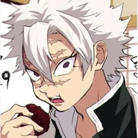 🌪️sanemi shinazugawa🌪️