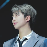 Kim namjoon (alfa dominant)