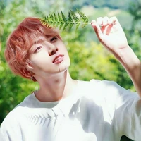 Jeon Jungkook