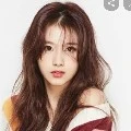 Kim Sana(Eomma Bangtan)