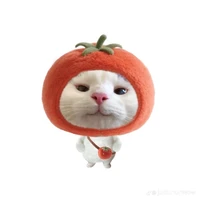แอดเอง!!!