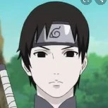 Sai