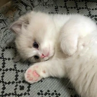 ฟูจิ