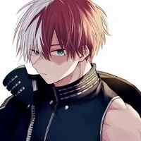 Shoto Todoroki