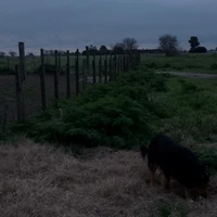 ？？？