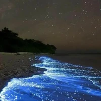 alfas/deltas/enigmas