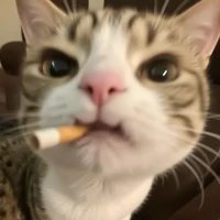 แอด🥰🥰