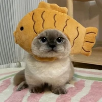 อุ๋งๆ.แมวน.อ