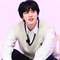 Seokjin/Hope wifey 