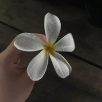 mom คาเรน