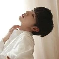 ไยใหม