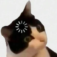 Kat