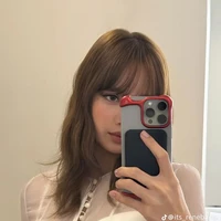 ลิงค์