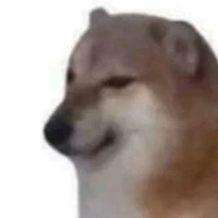 kutta