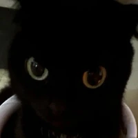 แอดคนดีคนเดิม