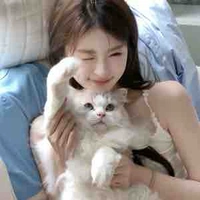 โกกิ นอ.