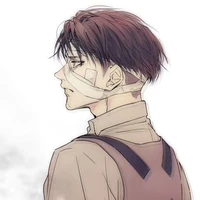 levi