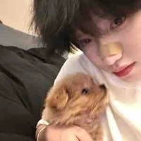 ซินซิน พนอ