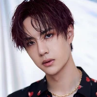 พี/(พี่ชายนางเอก)