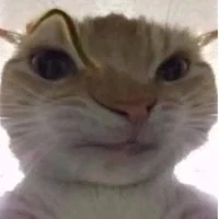 เเอดเองงง