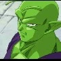 piccolo