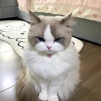 อีฟ (ระบบ)