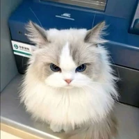 แอดเอง~~