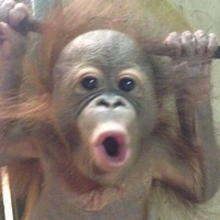 แอดจั๊ปปๆๆ