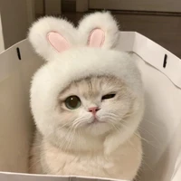 𝑷𝒆𝒂𝒓_𝒑𝒂𝒑𝒊😺