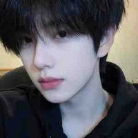 ดาวเหนือ