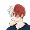 Todoroki
