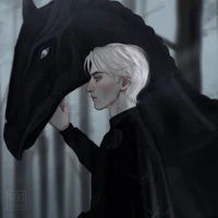 Draco