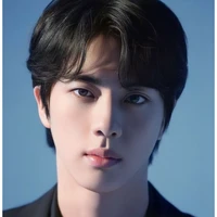 kim seokjin/ ore