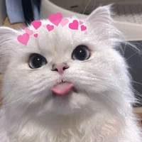 แอด💕💕