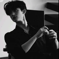 Kim Vincent (male lead)